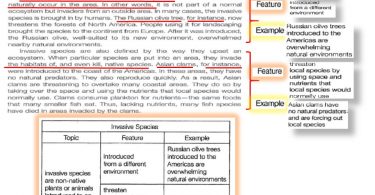 toefl council exam british The PTE TOEFL & & story Aron YDS IELTS & â€“ Ralston